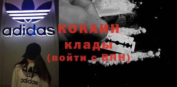 гашик Богданович