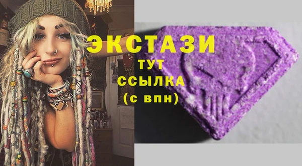 spice Богородск