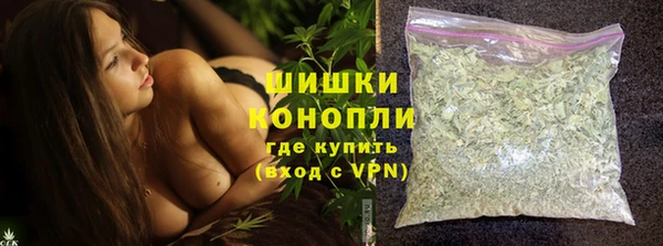 гашик Богданович