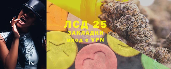 гашик Богданович