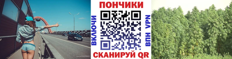 Шишки марихуана OG Kush  Великие Луки 